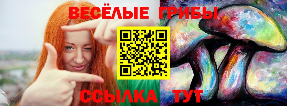 Псилоцибиновые грибы GOLDEN TEACHER  наркота  Каспийск  Вход с VPN 